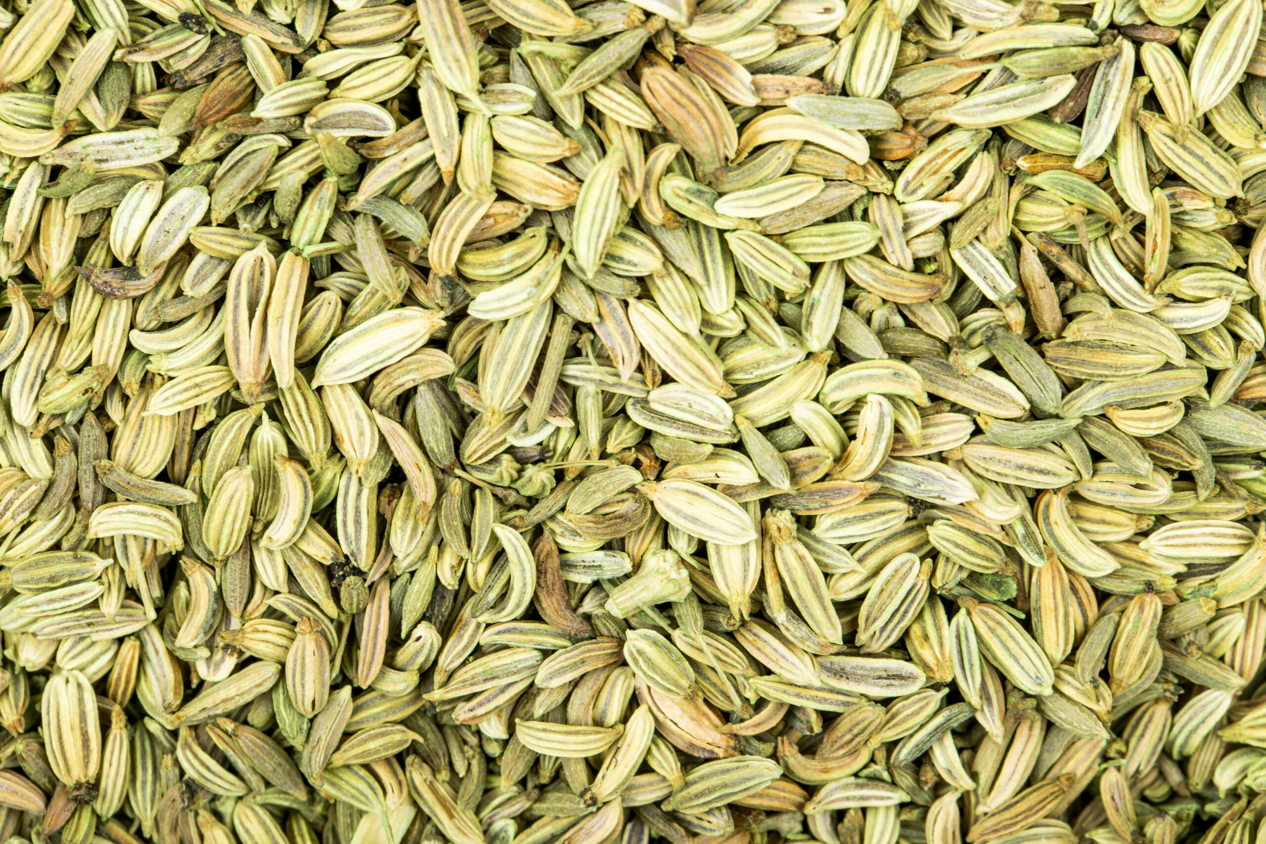 Premium Fennel Seeds