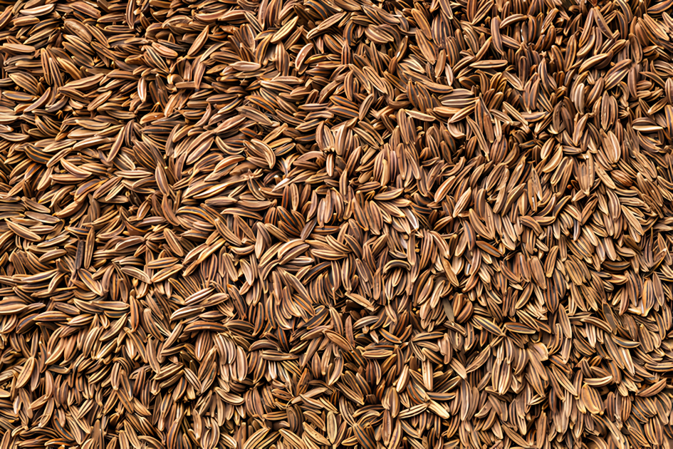 Premium Jeera Cumin Seeds