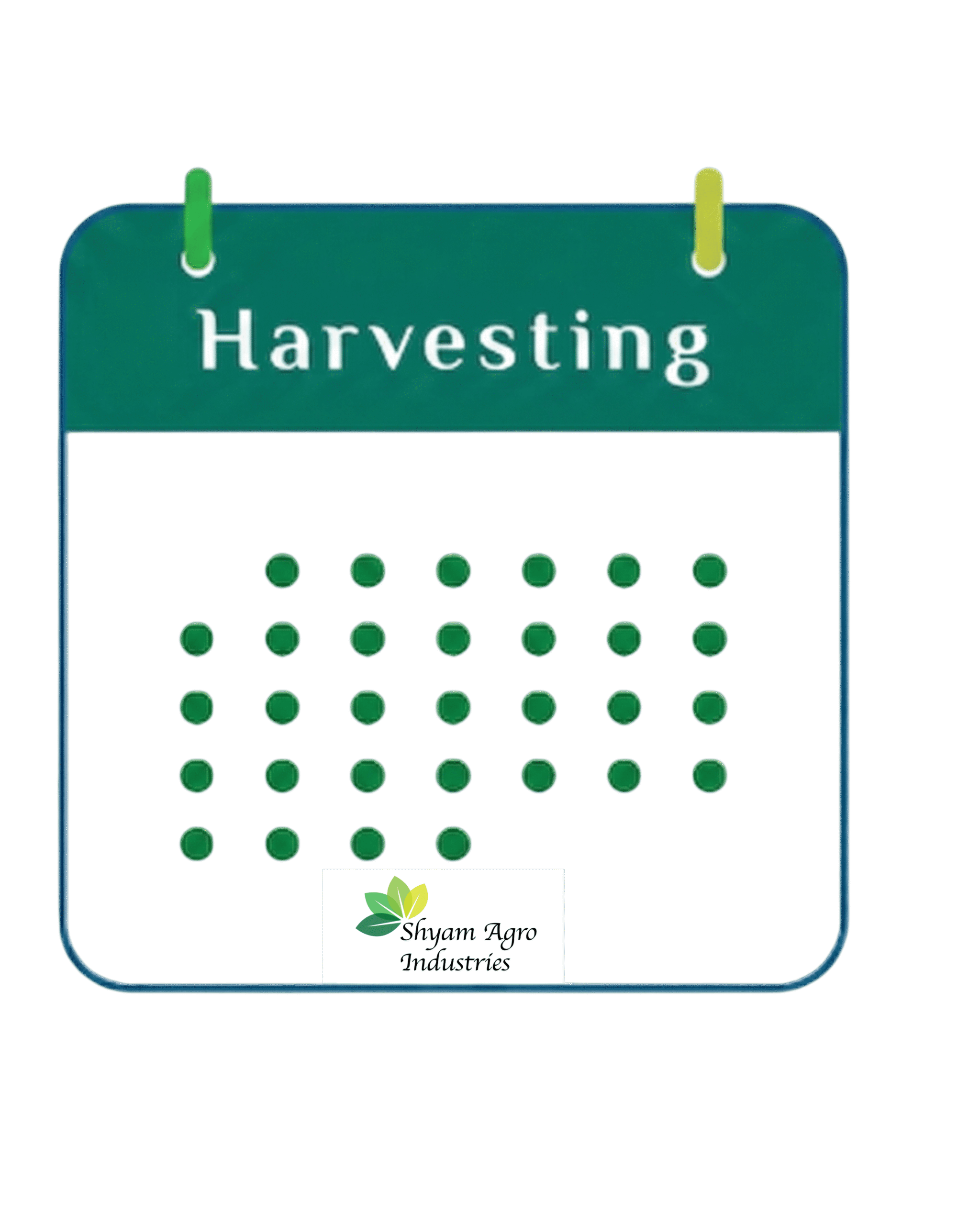 Harvesting Calendar