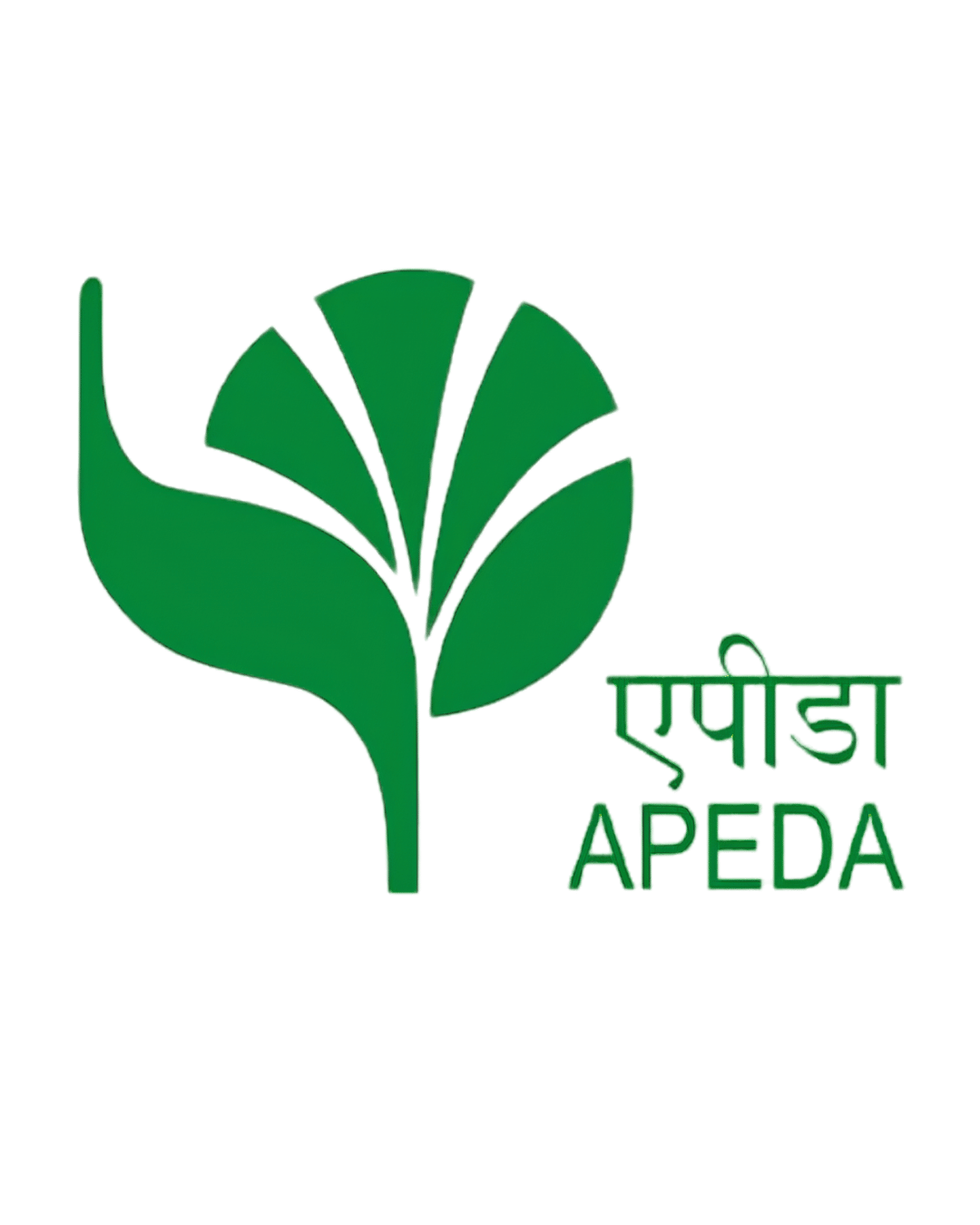 APEDA Logo
